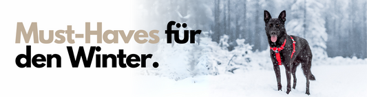 Must-Haves für den Winter
