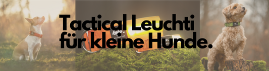 Unsere Tactical Leuchthalsbänder jetzt auch für kleine Hunde! 🐶💡