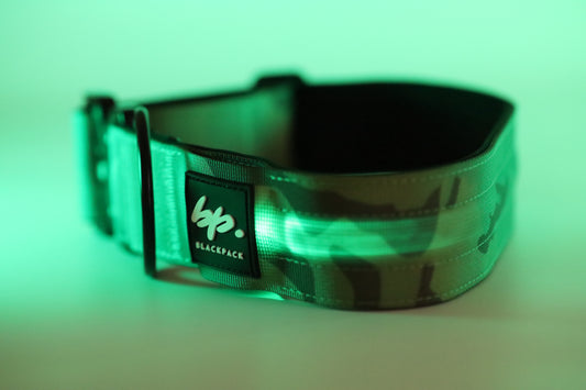 Tactical Leuchthalsband