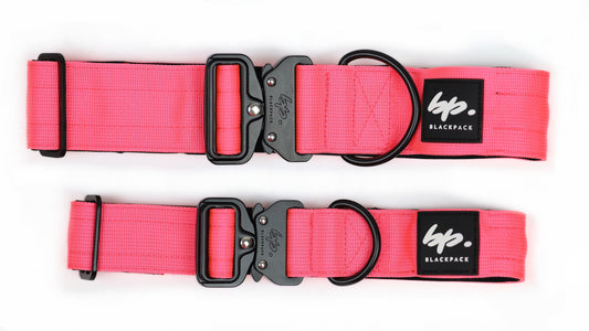 Tactical Leuchthalsband