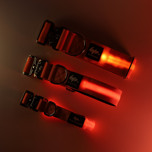 Tactical Leuchthalsband