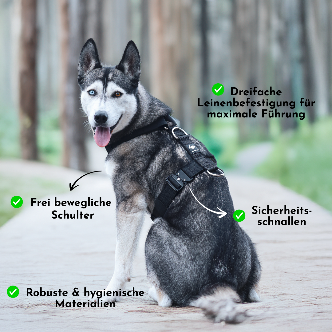 Hundegeschirr EMPIRE