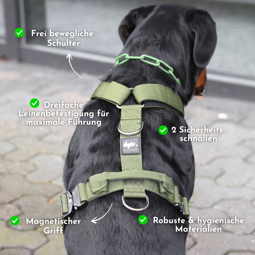 Hundegeschirr EMPIRE GRIP