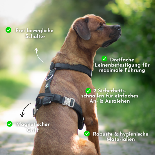 Hundegeschirr EMPIRE GRIP