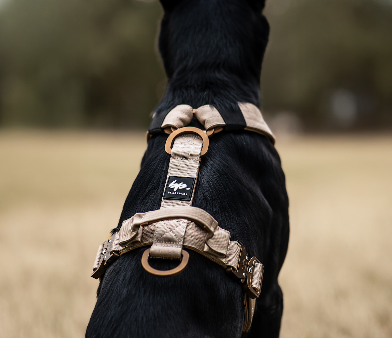Hundegeschirr EMPIRE GRIP