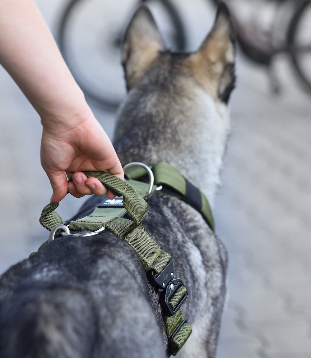 Hundegeschirr EMPIRE GRIP
