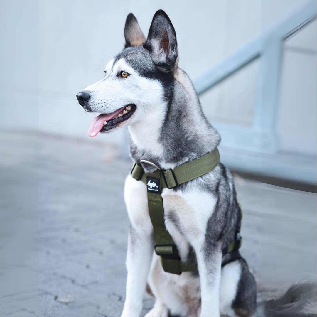 Hundegeschirr EMPIRE GRIP