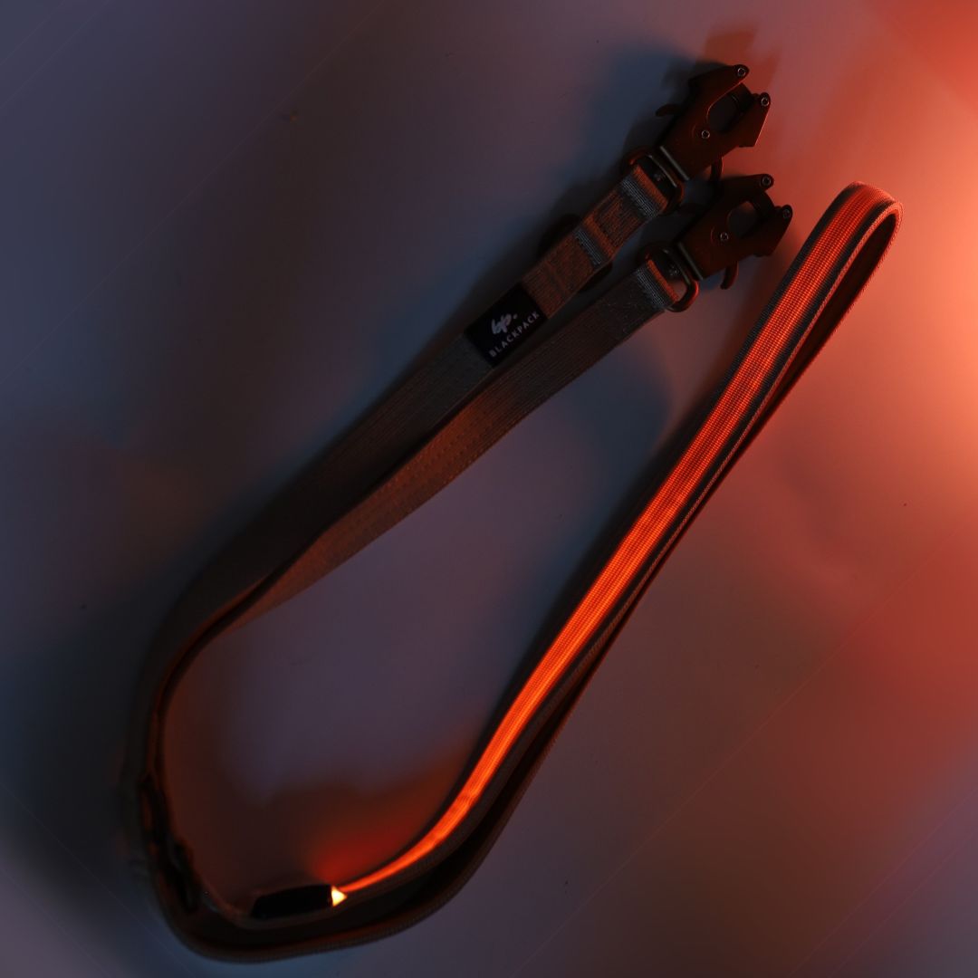 Leine LED