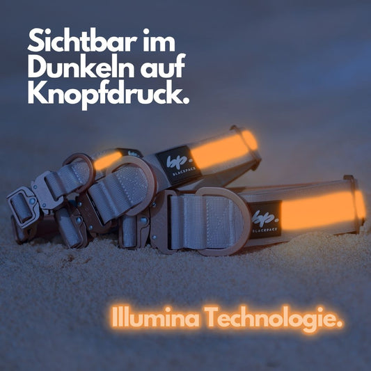 Tactical Leuchthalsband