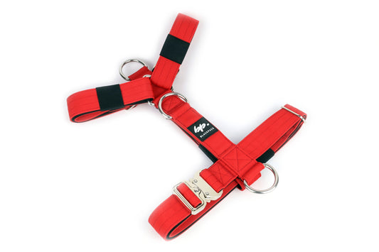 EMPIRE Army Green & Red