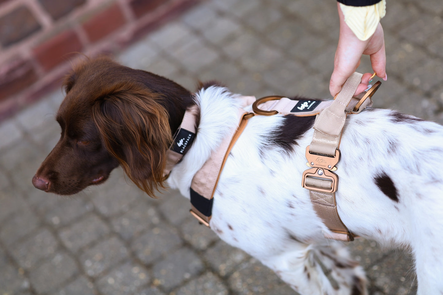 Hundegeschirr EMPIRE GRIP