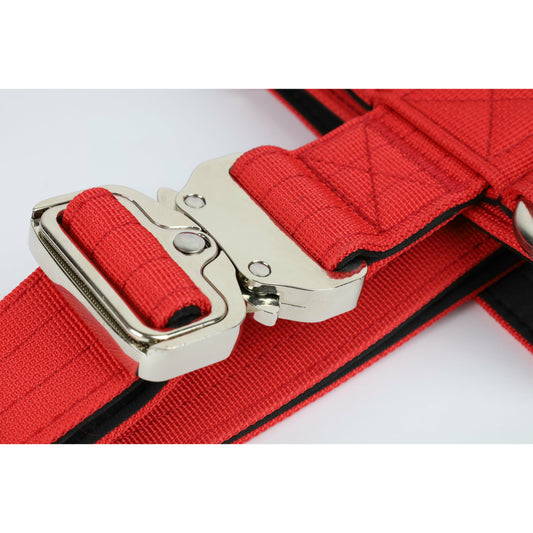Produktfoto Cobraschnalle Hundegeschirr rot