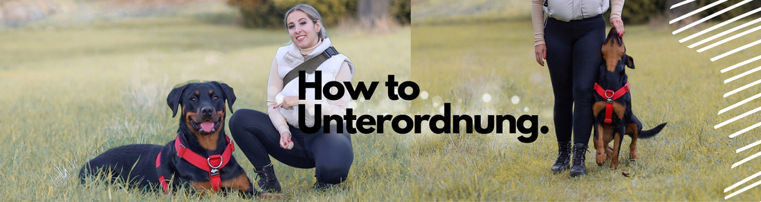 How to Unterordnung