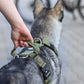 Hundegeschirr EMPIRE GRIP