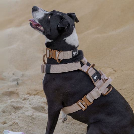 Hundegeschirr EMPIRE GRIP