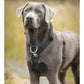 Hundegeschirr EMPIRE