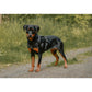 Hundegeschirr EMPIRE